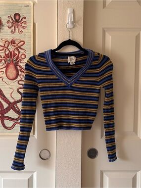Urban Outfitters BDG Blue and Mustard Striped V‑Neck Ribbed Long Sleeve Top